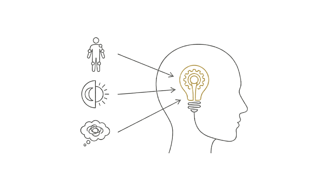 Clinical Reasoning — Einflussfaktoren fließen in die Analyse ein